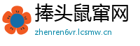 捧头鼠窜网